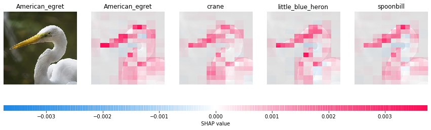 ../../../_images/example_notebooks_image_examples_image_classification_Explain_MobilenetV2_using_the_Partition_explainer_%28PyTorch%29_13_0.png