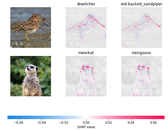 ../../../_images/example_notebooks_image_examples_image_classification_Explain_an_Intermediate_Layer_of_VGG16_on_ImageNet_%28PyTorch%29_3_0.png